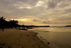 Pasir Ris Beach Park (D18), Semi-Detached #505955141